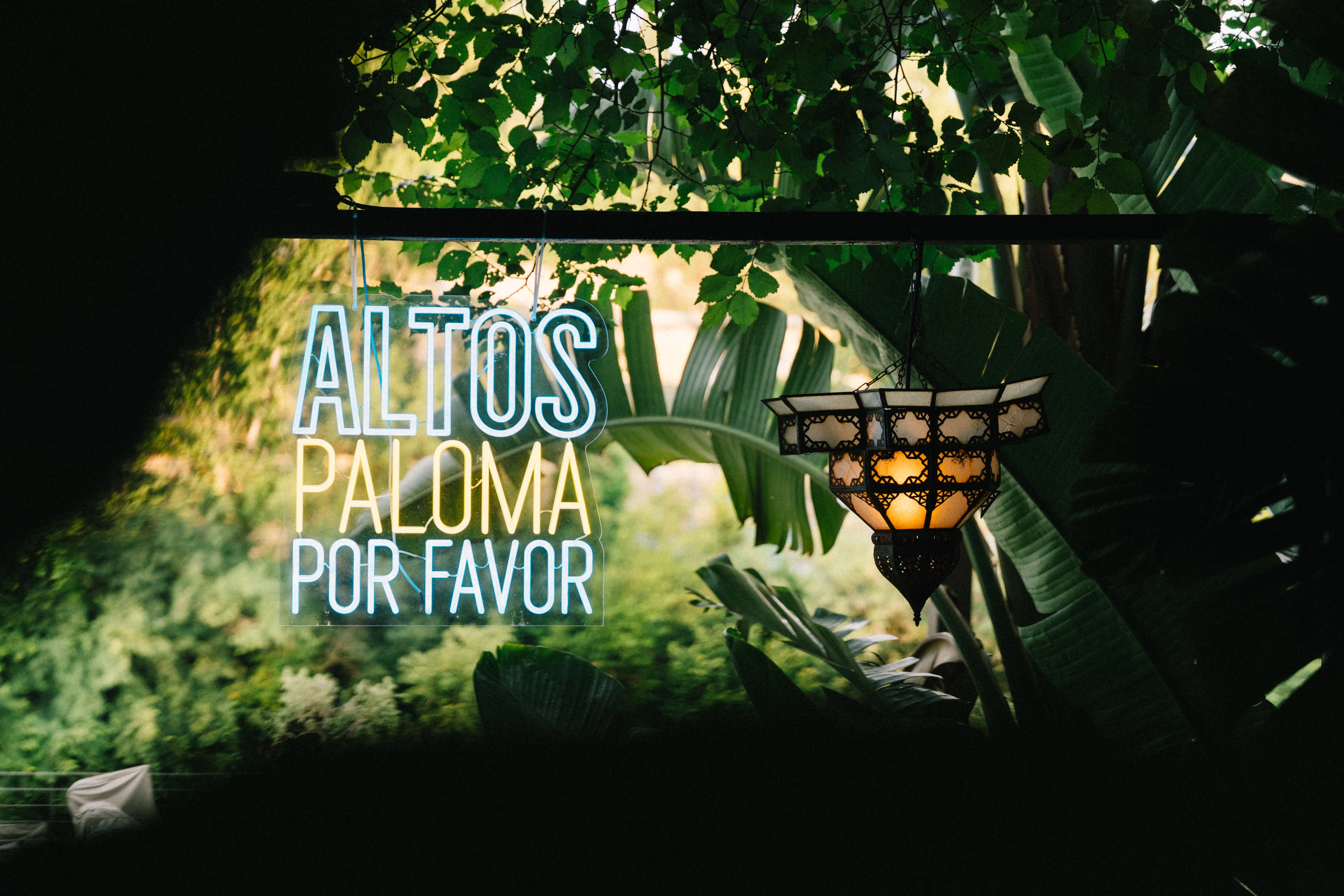 Altos Paloma Mi Amor — foto 8