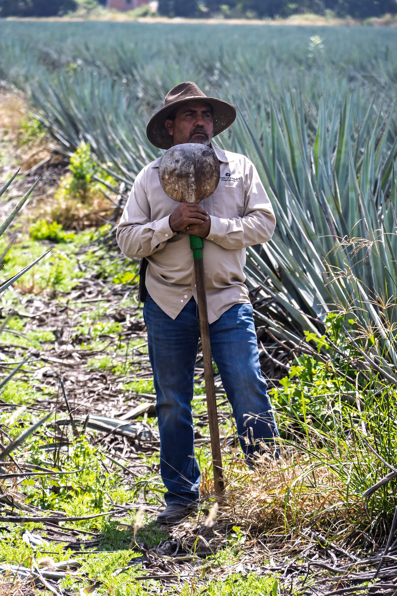 Mexico Es Mi Casa — foto 3
